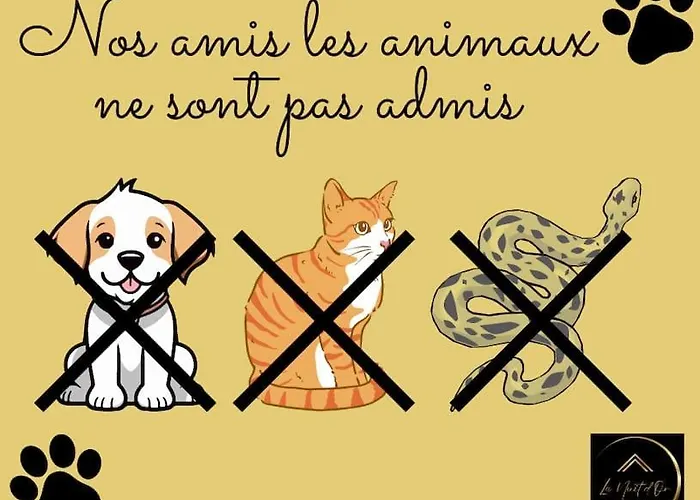 Le Duplex Horizon Travot Vue Splendide Et Cholet